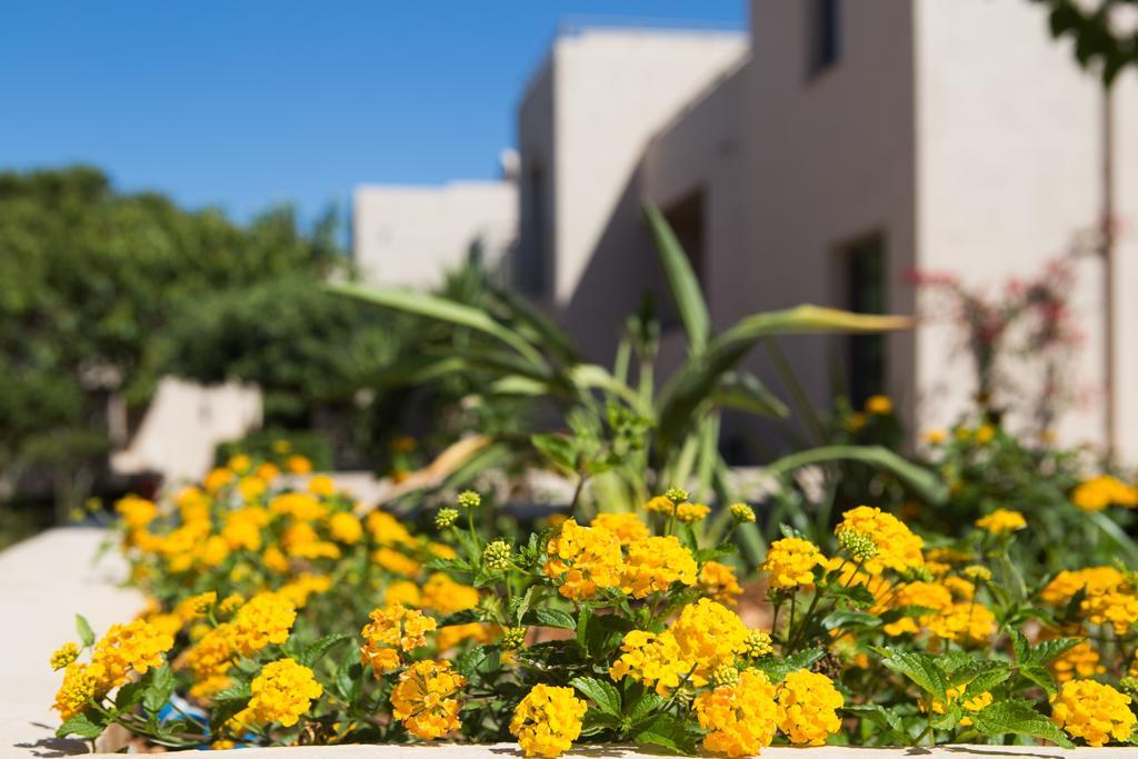 Sundance Apartments & Suites Hersonissos  Zewnętrze zdjęcie